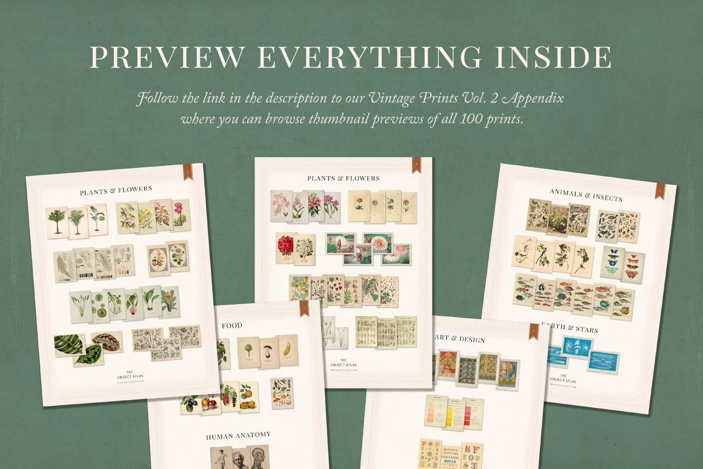 激レア ビンテージアメリカフルカラー絵の辞典 2冊セット 激レア